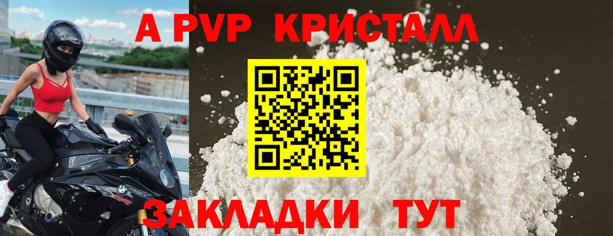 Альфа ПВП Будённовск