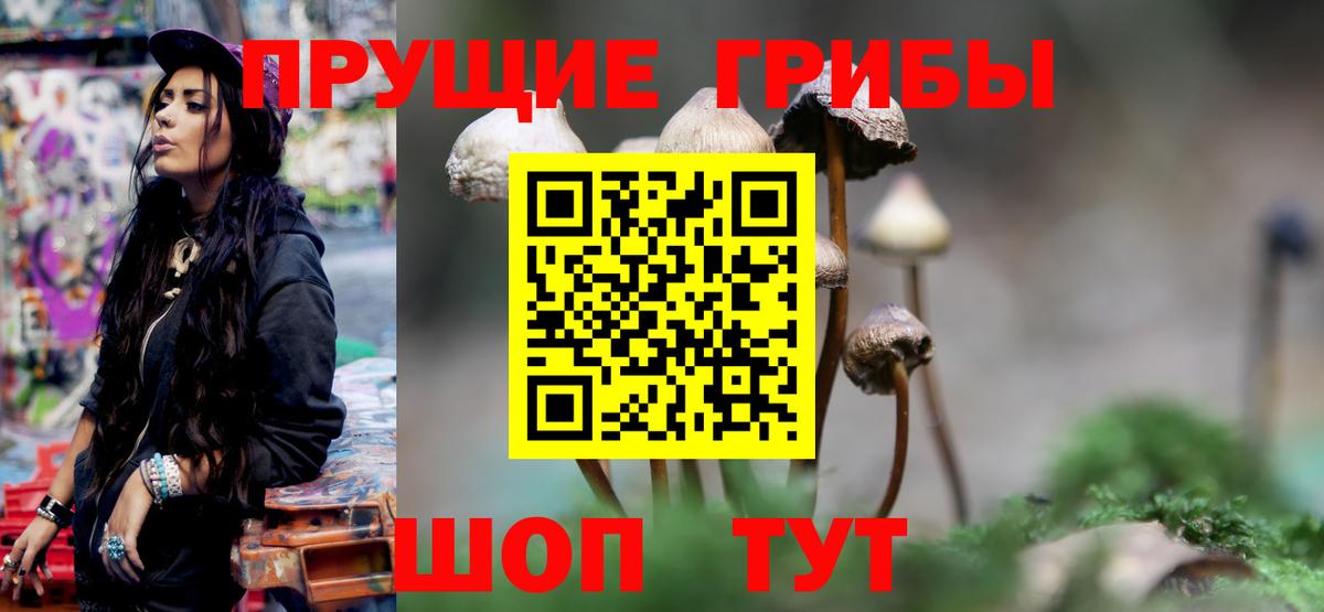 Галлюциногенные грибы прущие грибы Будённовск