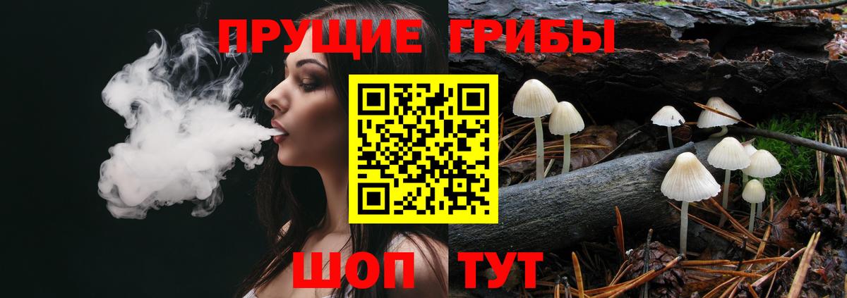 Псилоцибиновые грибы мухоморы  Вход с VPN  Будённовск 