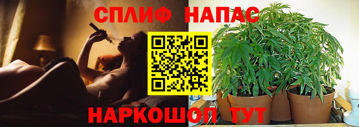 Марихуана планчик Будённовск